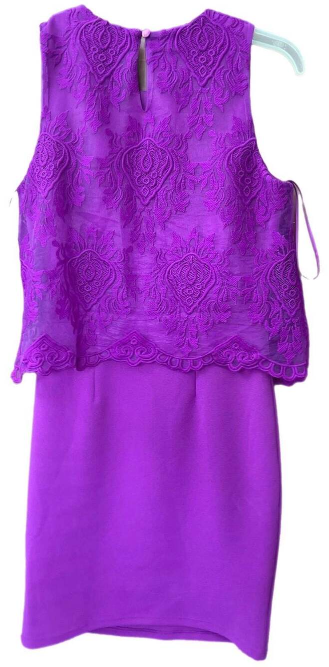 Sm Gianni Bini mini dress with lace overlay bodice